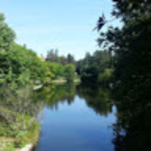 Meet your Posher, La vonda